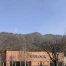 별빛펜션A | 가평 <더스테이힐링파크> A타입 후기/서울 근교 가족여행 숙소 추천/가평 독채 펜션 추천