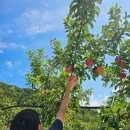 원근농장 이미지