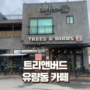 버드트리 | 유량동 카페 추천 전통찻집 트리앤버드 방문후기 무료와이파이