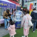 피노키오