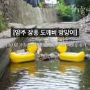 장흥대박협동조합 | [양주 장흥 도깨비 방망이] 강아지랑 가기 좋은 애견동반 계곡 식당 재방문 후기