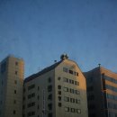 안세병원