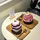 자밥 | 9. 대만 가고 싶다