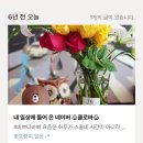 메리플랜 이미지