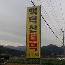 평창백덕산더덕 이미지