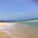 동호해변 이미지