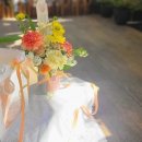 제이라온FLOWER 네이버블로그