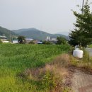 제내2리 이미지