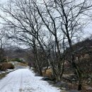 [ 강원특별자치도 가볼만한곳] 고성 금강산 적멸보궁 건봉사 우담바라