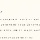 모란주