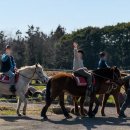 제주영상여행사 | 제주도승합차투어, 아이와 1박2일 제주 가족여행