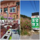 풀잎향기 이미지