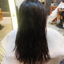 경성대학교 새 노동조합 | 경성대미용실 이쁘다헤어 호유 모발재생클리닉 겨울디자이너