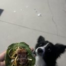 형제정육점 이미지