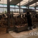 달무리농장 주간이천저널신문사