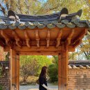 호암중앙2로 | 경기도 단풍 명소 &lt;호암미술관 희원&gt; 10월 말 단풍 절정 시기 주말 방문 후기 Ι 입장료, 주차, 코스 소개