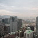 제스트(ZEST) 이미지