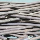 묘수농장 이미지