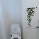 어보브 블루 C 이미지