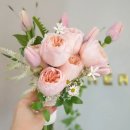 헤라결혼정보 이미지