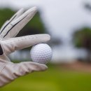 라스트 라인 (LAST LINE) 이미지