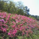 입점리_고분전시관 이미지