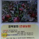 큰골농원 이미지