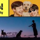 금배네 민박 이미지