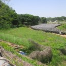 명진에너지주유소 이미지