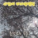 이안카라반