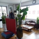 도경 이미지