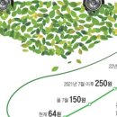 인상전기 이미지