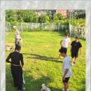 컴투펫 위탁보호센터 이미지