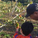 태규농장 이미지