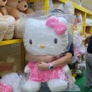 인형천국 | 인천 누리플러스 후기, 캐릭터 인형 할인 천국