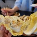 리버스케치 | [리버스 비건] 을지백탄뼈구이/르빵/명동성당카페/정자 리스/주토피아/카페앙지