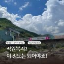 영남 알프스 펜션 | [회사 하계휴양소 추천] 기업 단체 여름 워크숍 장소, 영남알프스 배내골 펜션