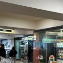 글루스터 | 시드니여행 @QVB Glue Store Stussy 글루스토어 스투시 구매후기 👔