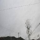 원화여중고 앞 이미지