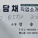 도담채 이미지