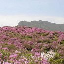 국일장여관 이미지