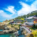 비자인행정사사무소 네이버블로그