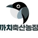 까치갈비 이미지