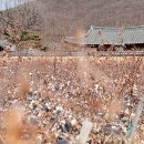 본리농원 이미지