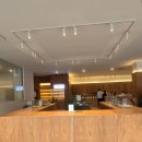 도반 | 제주공항 근처 대형카페 티하우스 추천 도바나 도반의 정원 후기