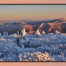 (01/19) 100대 명산 강원도 태백산(1567m) 눈꽃산행에 초대합니다~!! 이미지