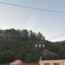 한옥 청송재 펜션 이미지