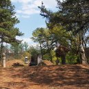 기응세선생묘 이미지