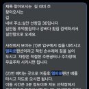 낚시천국 | 사천 삼천포 바다 낚시체험 및 낚시명소 저도 엘파로 펜션 - 초보낚시 천국 다양한 어종 조황 좋은 핫플...
