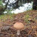 등촌역6번출구 이미지